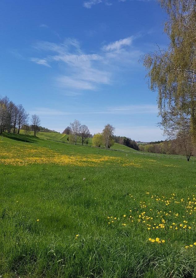 Ferienhaus Polly Rabenau Dış mekan fotoğraf
