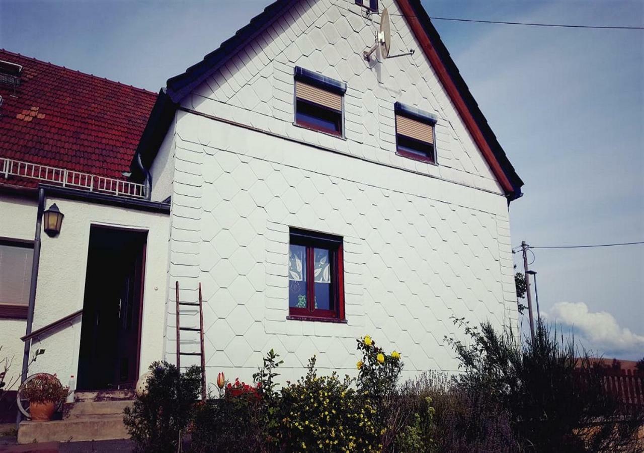 Ferienhaus Polly Rabenau Dış mekan fotoğraf
